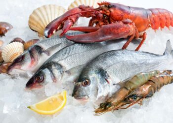 أسعار السمك