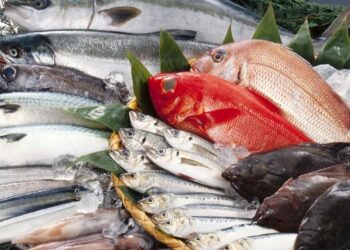 الاستزراع السمكي