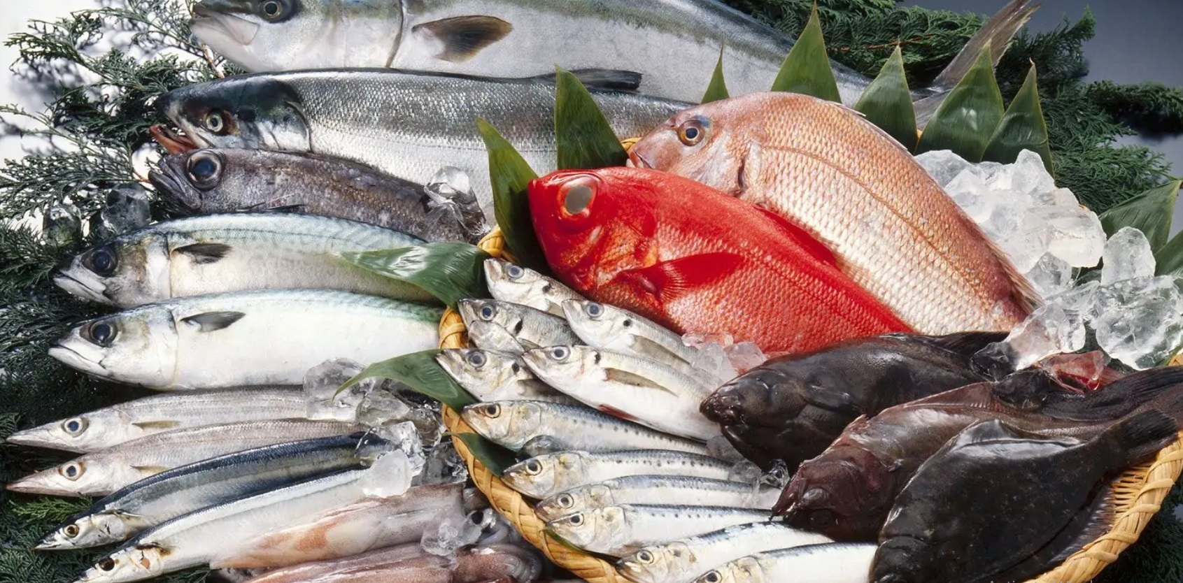 الاستزراع السمكي