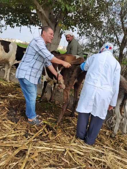 التلقيح الاصطناعي