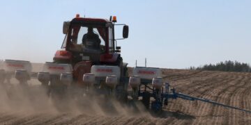 زراعة الذرة