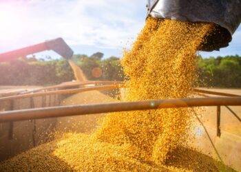 العقود الآجلة للذرة