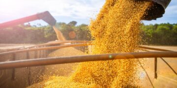 العقود الآجلة للذرة