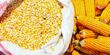 العقود الآجلة للذرة