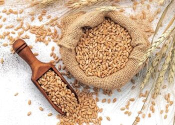 العقود الآجلة للقمح