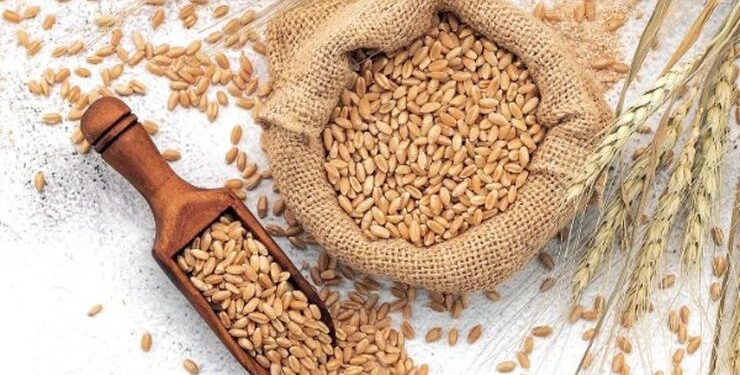 العقود الآجلة للقمح