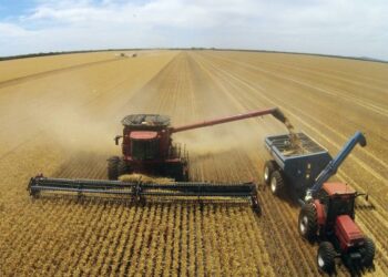 حصاد فول الصويا