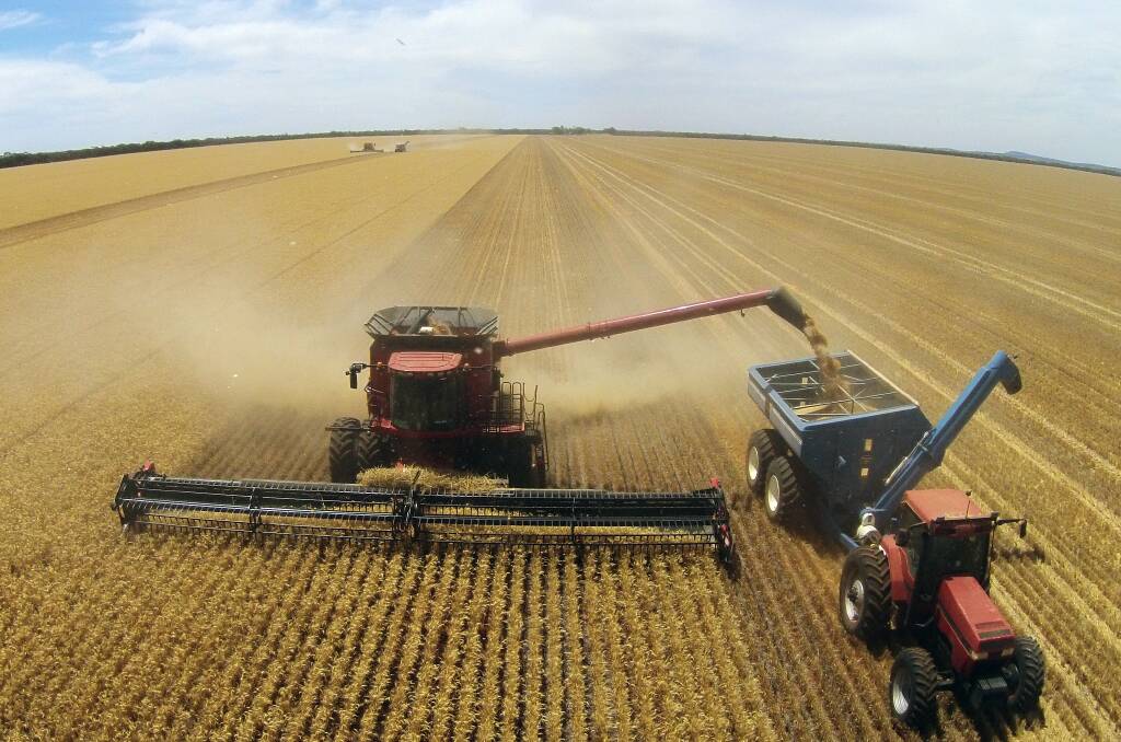 حصاد فول الصويا