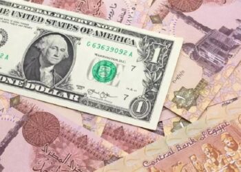 سعر الدولار