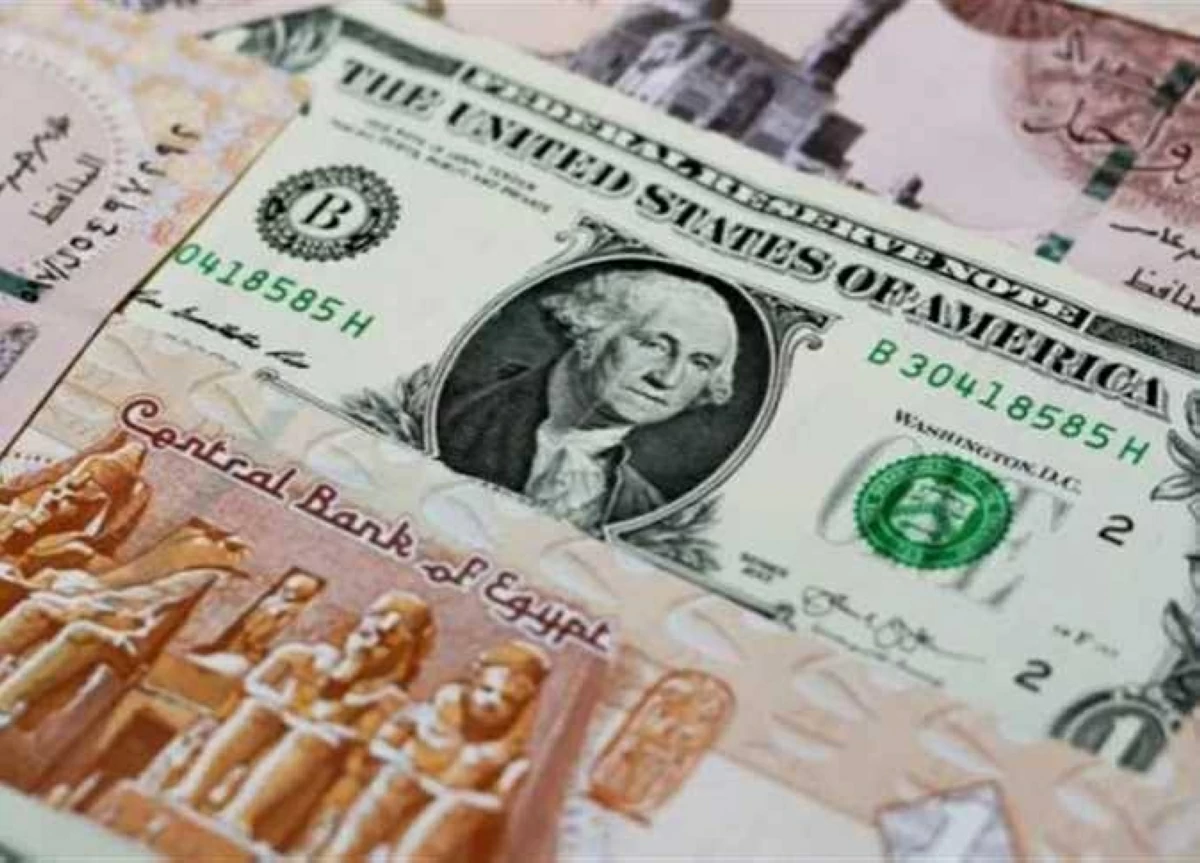 سعر الدولار