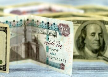 سعر الدولار