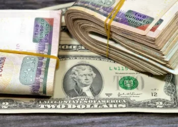 سعر الدولار