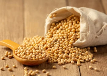 الصادرات الزراعية