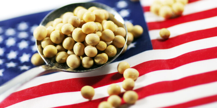 صادرات فول الصويا