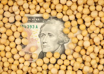 فول الصويا الأوكراني