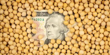 فول الصويا الأوكراني