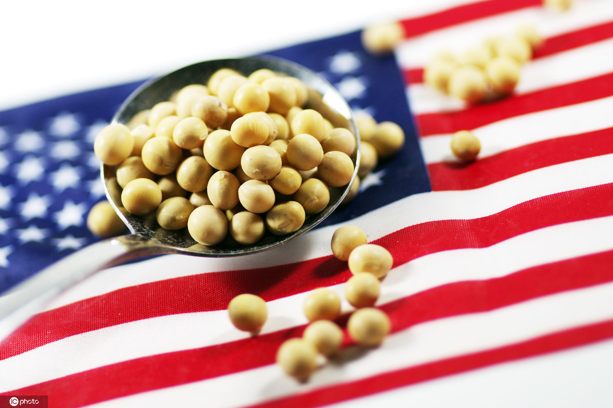 صادرات فول الصويا