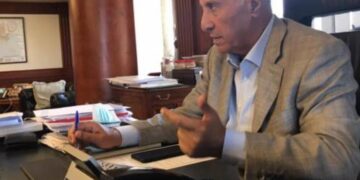 محمود العناني