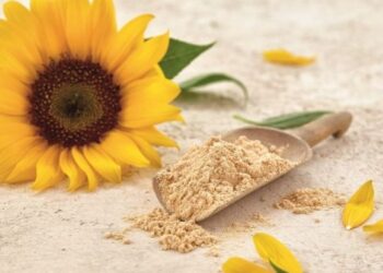 كسب عباد الشمس