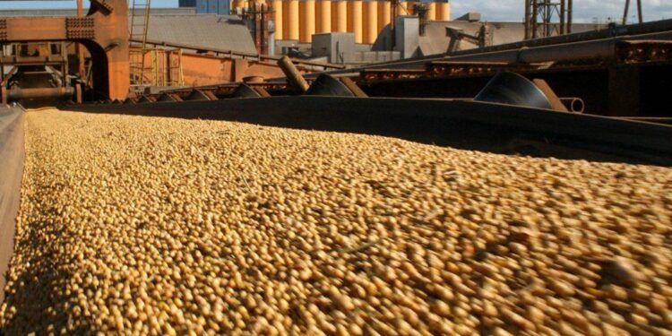 معالجة فول الصويا