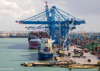 ميناء دمياط يستقبل 6628 طن قمح و 13534 طن ذرة