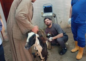 وزارة الزراعة