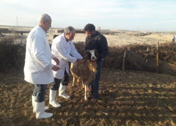 وزارة الزراعة