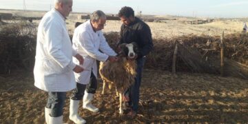 وزارة الزراعة