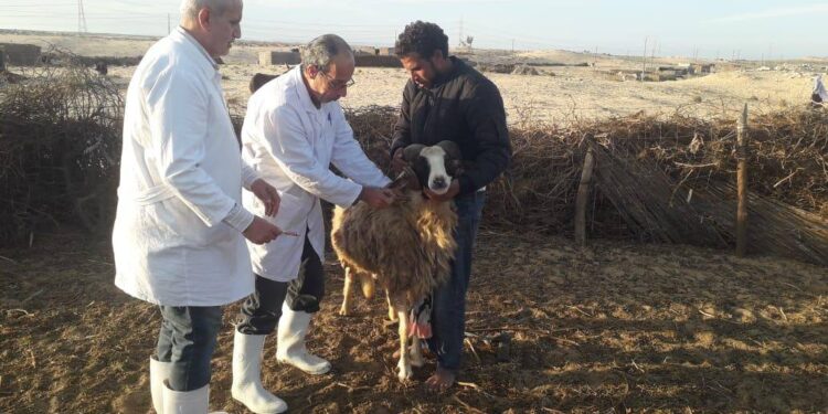 وزارة الزراعة