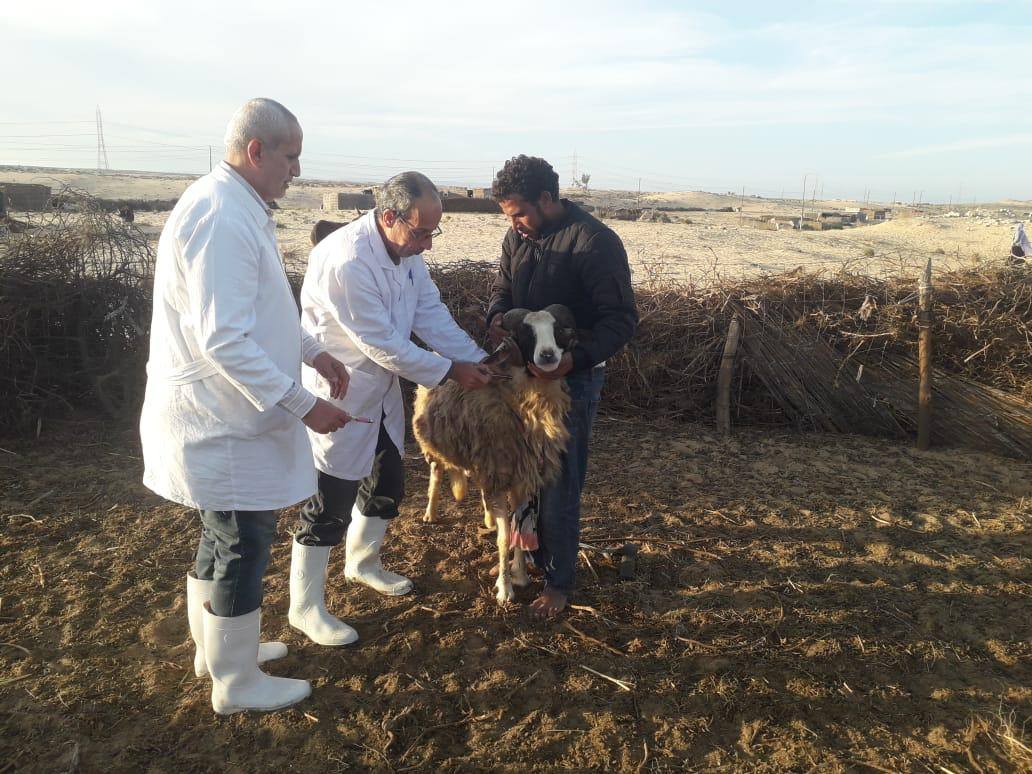 وزارة الزراعة