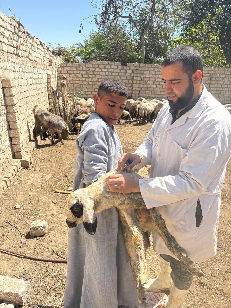 وزارة الزراعة