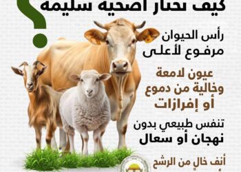 اختيار الأضحية واللحوم