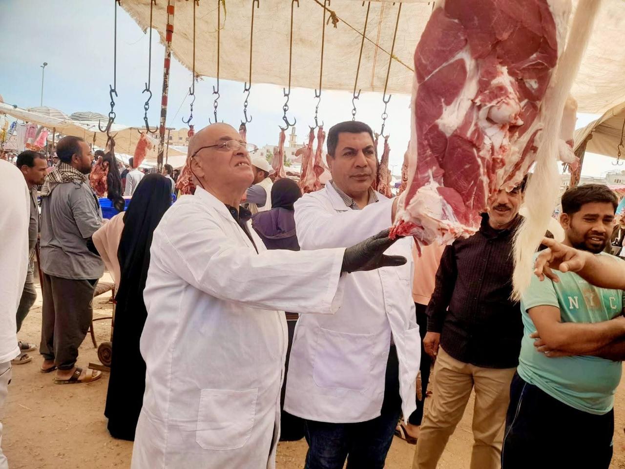 الزراعة