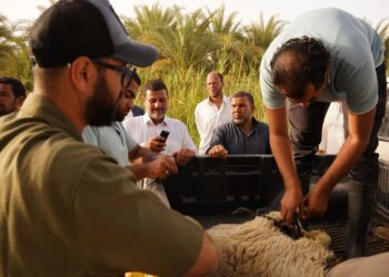 الزراعة