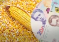 أسعار الذرة