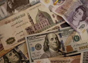 سعر الدولار