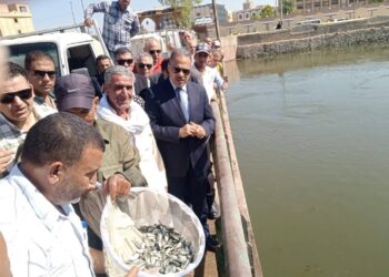 "جهاز حماية وتنمية البحيرات" يطلق مليون وحدة زريعة سمكية بمحافظة الشرقية