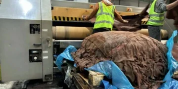 إنتاج 2,883 طنًا من مسحوقي البروتين والعظم من منتجات التدوير بالمجاز في مايو