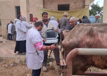 التلقيح الاصطناعي