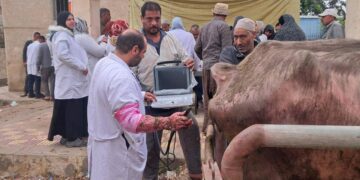 التلقيح الاصطناعي