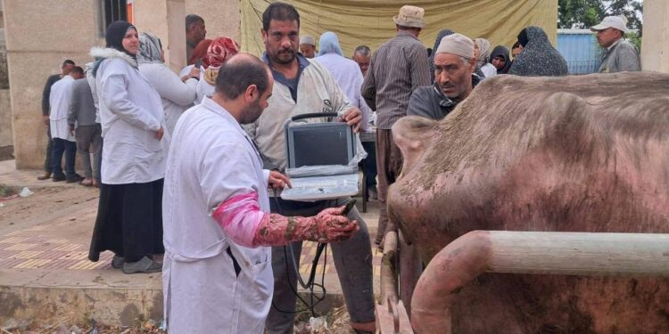 التلقيح الاصطناعي