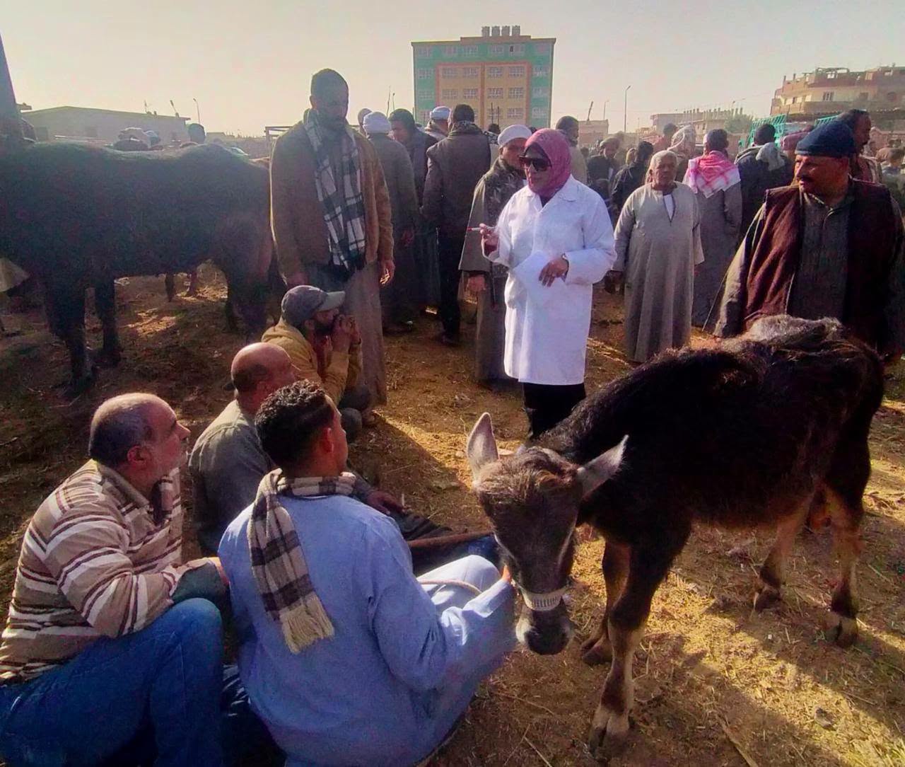 الزراعة
