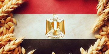القمح