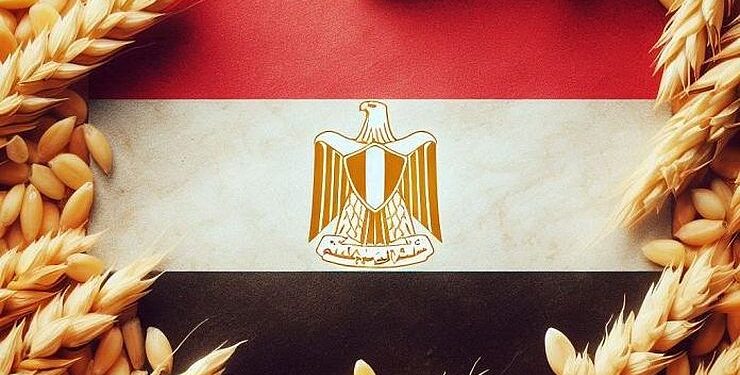 القمح