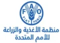 الفاو