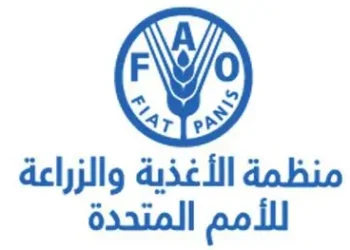 الفاو