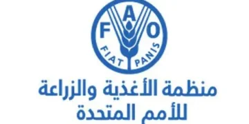 الفاو