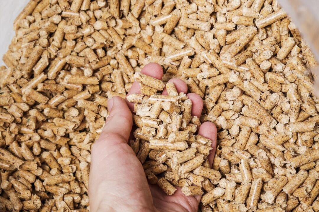 كسب الصويا الهندي يفقد المنافسة في السوق العالمية