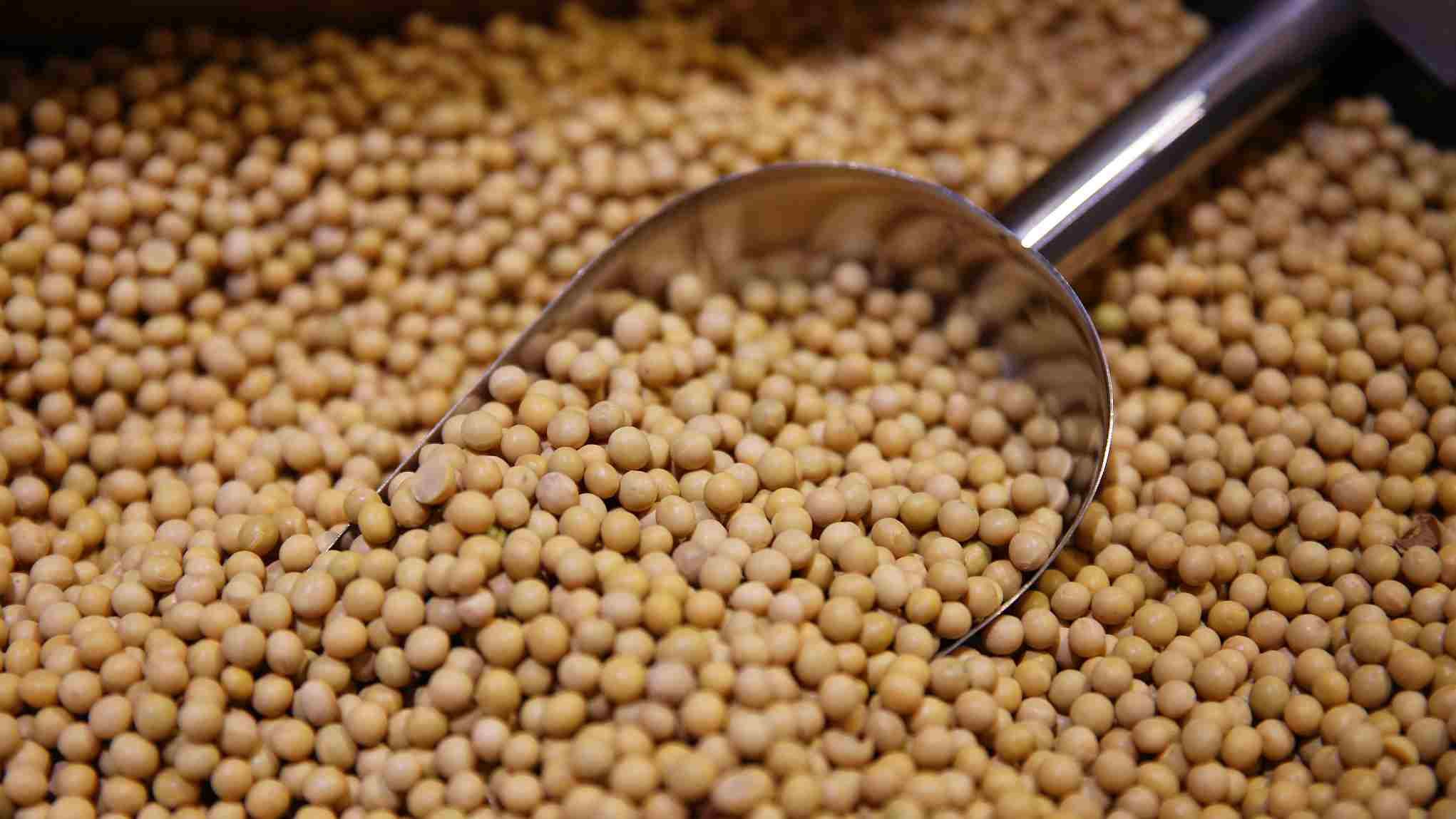 واردات الأرجنتين من فول الصويا 6.1 مليون طن في النصف الأول من 2023