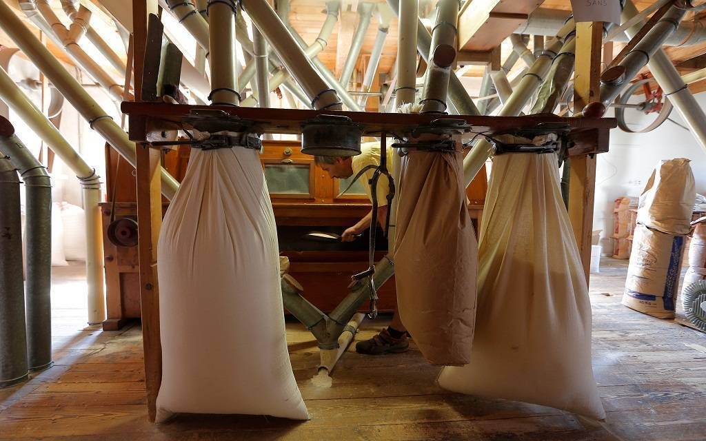 مطاحن ومخابز شمال القاهرة تسجل نموا بنسبة 54% خلال يوليو الماضي